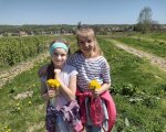 Lekcja przyrody w terenie
