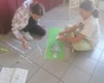 Podsumowanie działu "Układ szkieletowy"