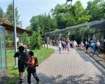 Wycieczka do Zamościa 2024