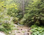 WYCIECZKA W PIENINY