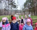 Magia Świąt w Doboszówce i naszej szkole