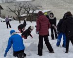 Zimowa przygoda – kulig w Janowie Lubelskim