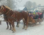 Zimowa przygoda – kulig w Janowie Lubelskim